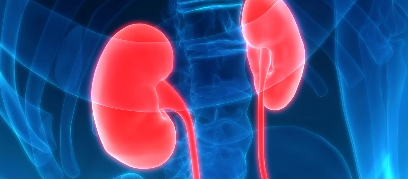 Εγκρίθηκε νέος συνδυασμός φαρμάκων στην Ευρώπη κατά του καρκίνου του νεφρού